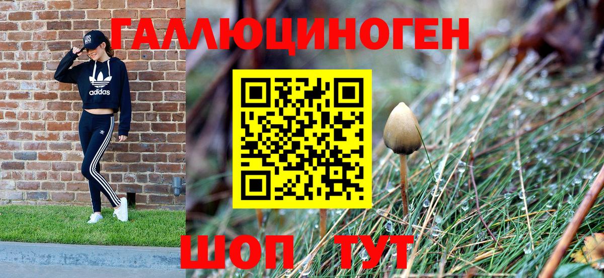 Псилоцибиновые грибы GOLDEN TEACHER  Вход с VPN  Волгоград 